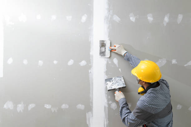 Best Post-Construction Mold Inspection  in Utica, OH