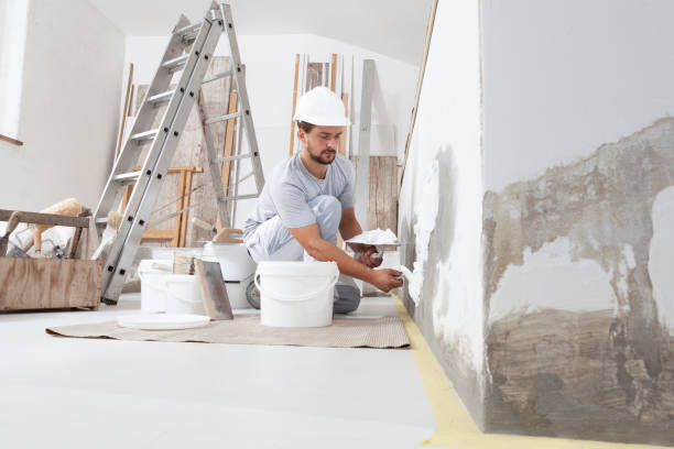 Professional Mold Removal in Utica, OH