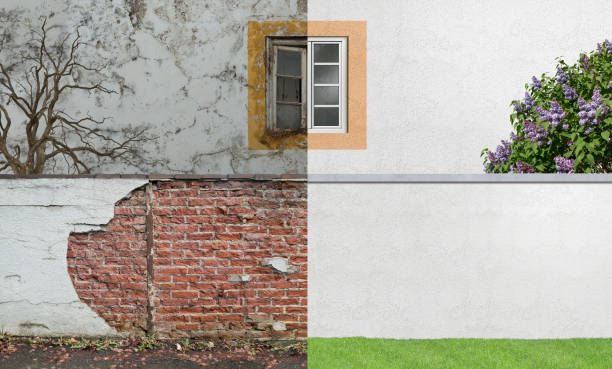 Best Basement Mold Removal  in Utica, OH