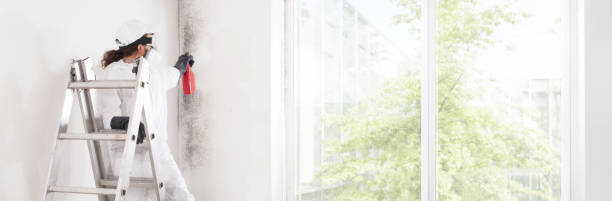 Best Mold-Related Health Consultation  in Utica, OH