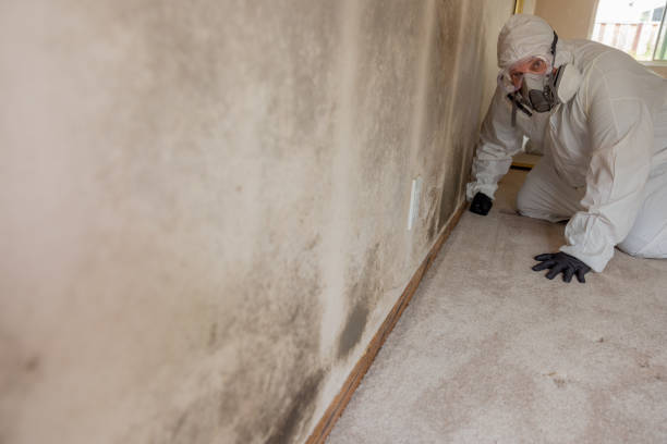 Best Water Damage & Mold Remediation  in Utica, OH